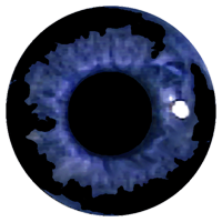 www.riffzone.net - logo